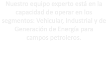 Nuestro equipo experto está en la capacidad de operar en los segmentos: Vehicular, Industrial y de Generación de Energía para campos petroleros.